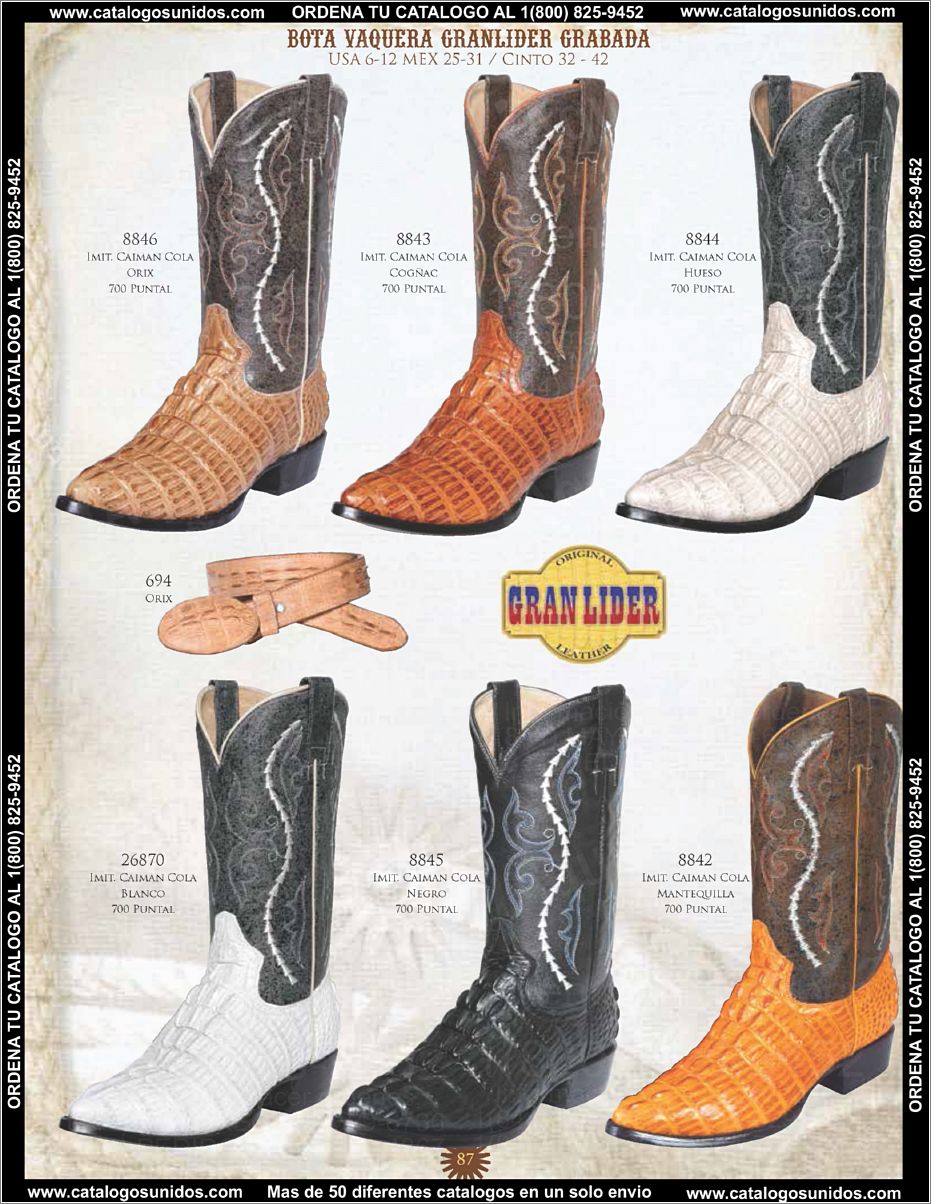 ElGeneralOI2015_Page_072