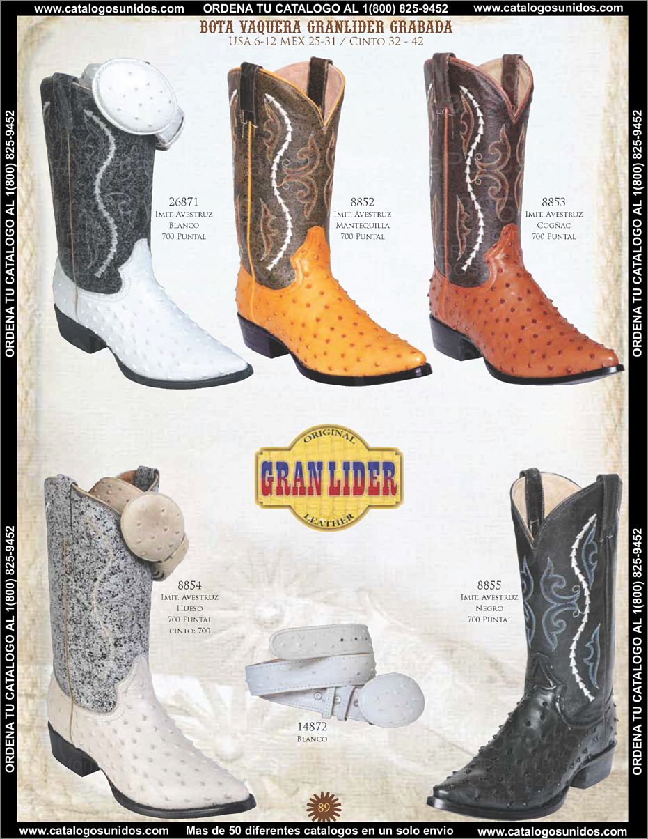 ElGeneralOI2015_Page_074