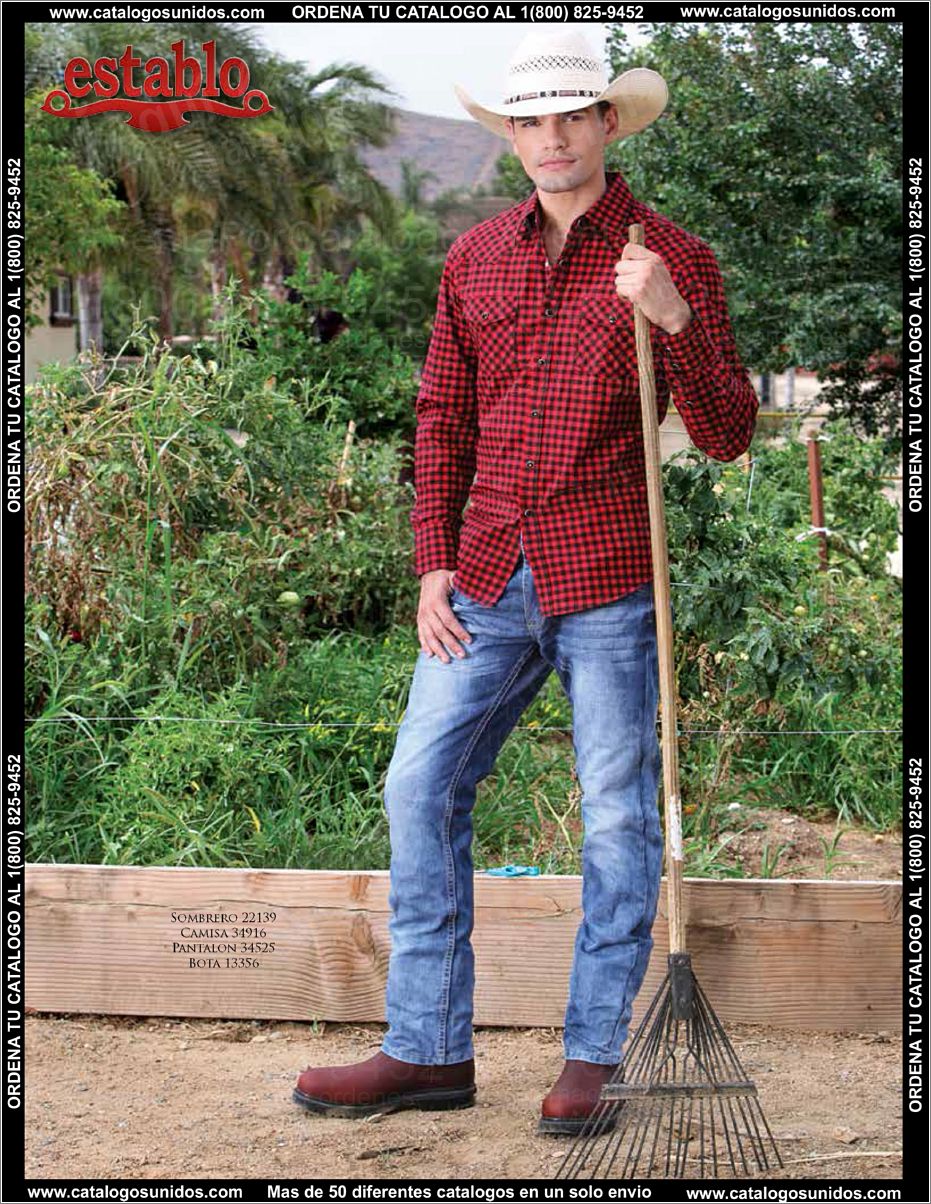 ElGeneralOI2015_Page_081