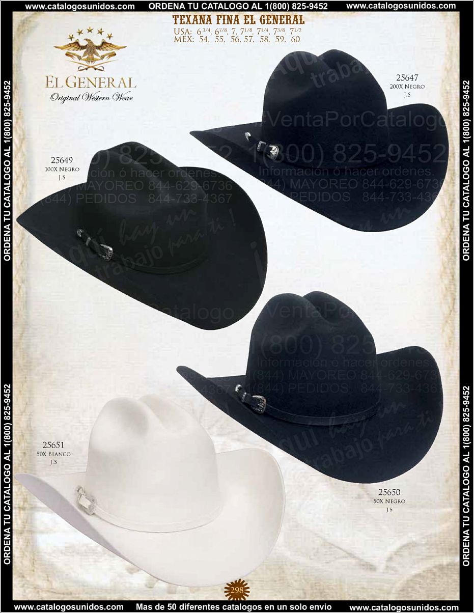 ElGeneralOI2015_Page_283