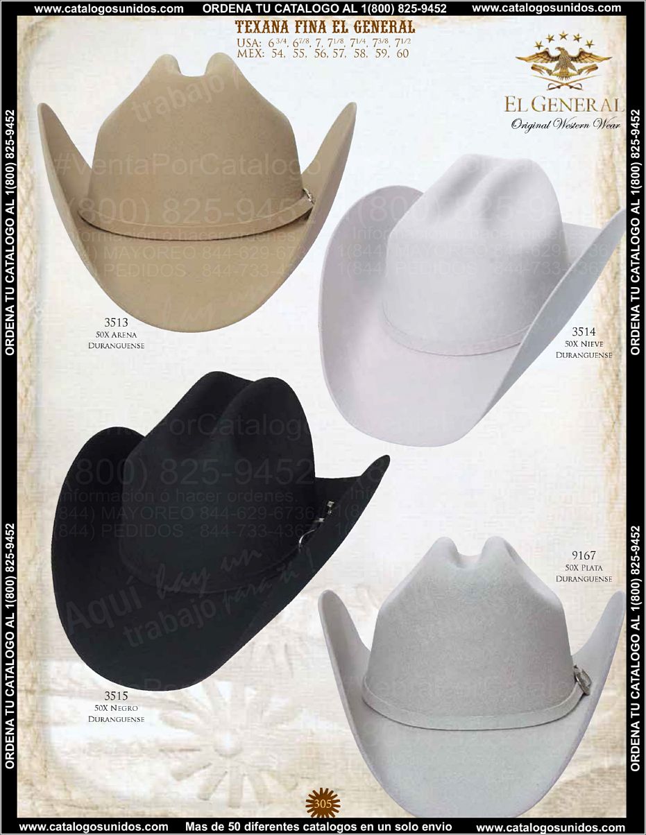 ElGeneralOI2015_Page_290