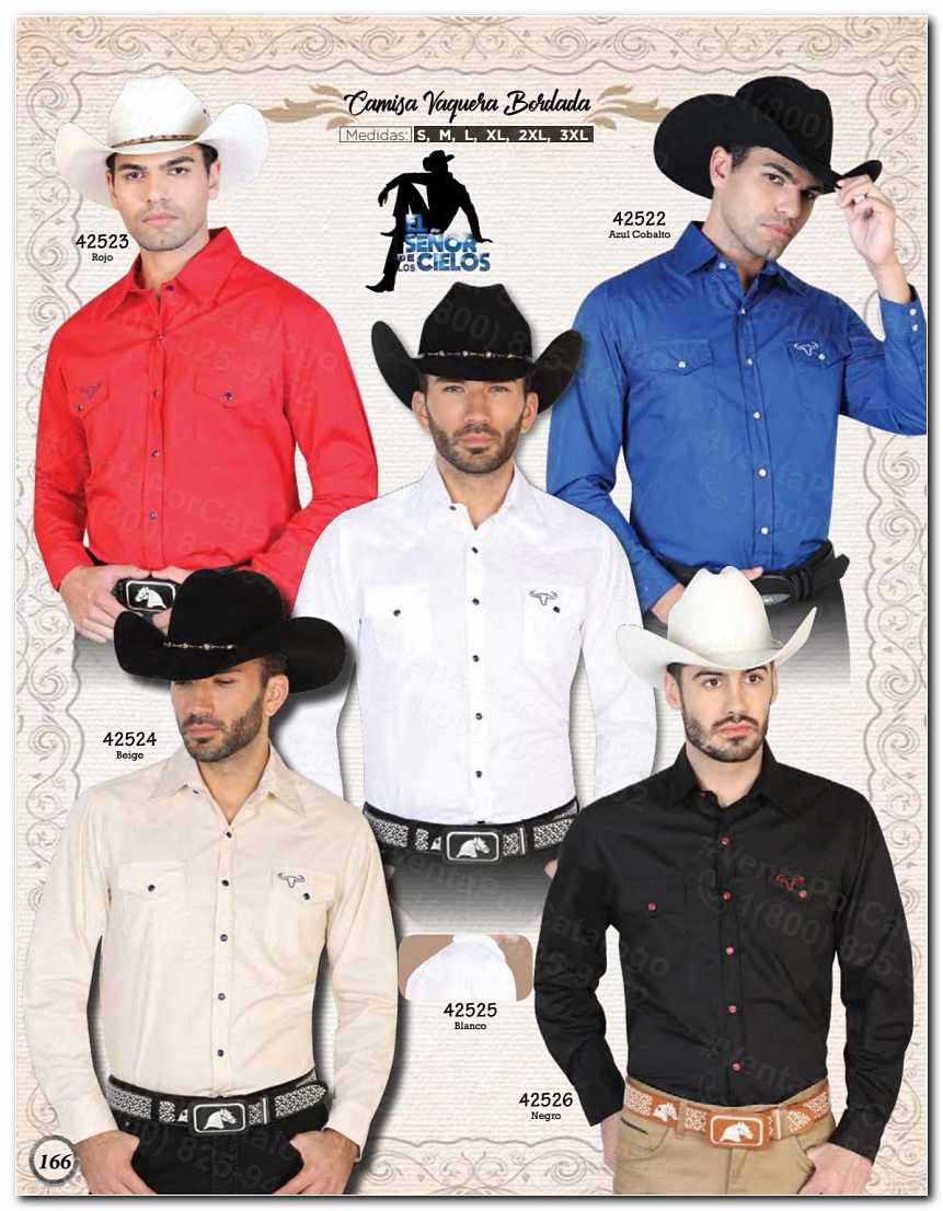 Ver Catalogo