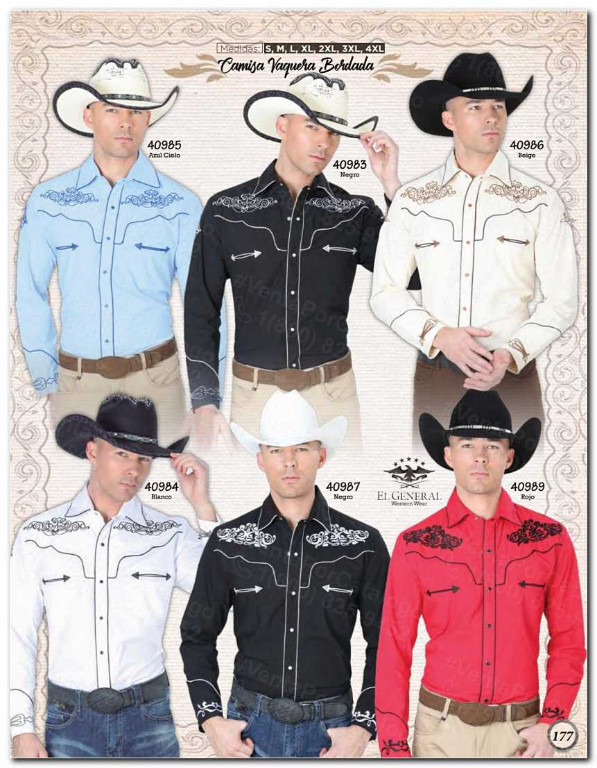 Ver Catalogo
